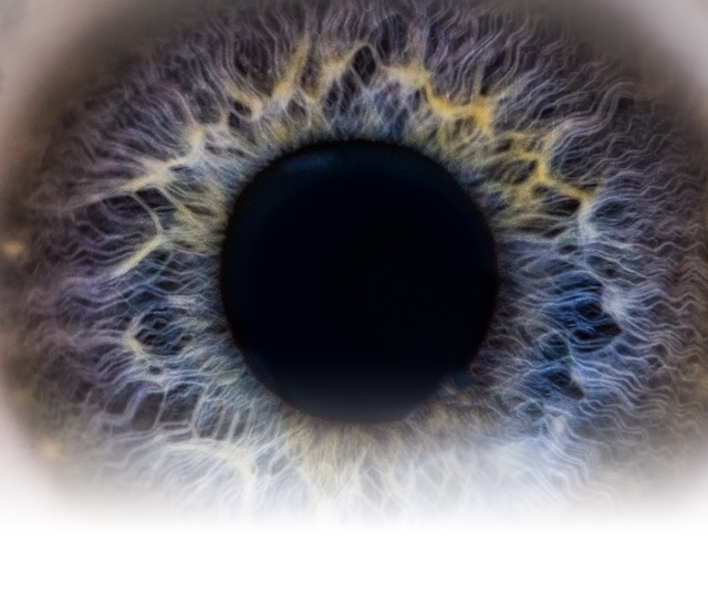  A woman placing a contact lens into her left eye.